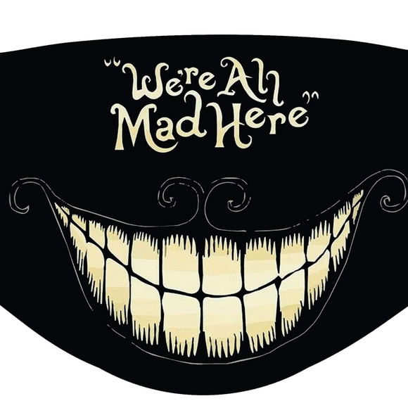 Cloth facemasks with insertable filters. - Picture 3 of 3